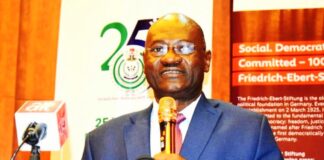 Director General, Institute for Peace and Conflict Resolution, Dr. Joseph Ochogwu