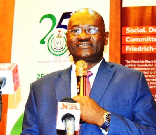 Director General, Institute for Peace and Conflict Resolution, Dr. Joseph Ochogwu