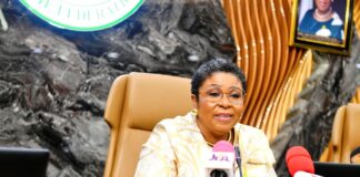 Head of the Civil Service of the Federation (HCSF), Mrs. Didi Esther Walson-Jack, OON, mni