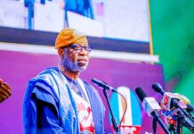 Hon. Minister of Solid mineral Development, Mr. Dela Alake