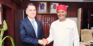 Nigeria Partners Brazil In Development Of Methanol Complex -FG