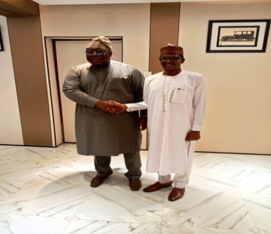 Olaopa assures the Legislative Mentorship Initiative (LMI) of his support