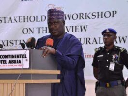 The Minister of State for Agriculture and Food Security, Sen.Dr Aliyu Sabi Abdullahi, during the workshop held in Abuja