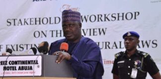 The Minister of State for Agriculture and Food Security, Sen.Dr Aliyu Sabi Abdullahi, during the workshop held in Abuja