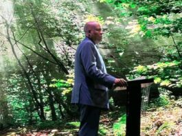 VP Shettima: We Will Embark On Massive Tree Planting Campaign From Next Season