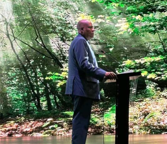 VP Shettima: We Will Embark On Massive Tree Planting Campaign From Next Season