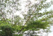 Federal Ministry Of Environment Collaborates With Partners On Sanitation Drive In Lafia