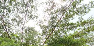 Federal Ministry Of Environment Collaborates With Partners On Sanitation Drive In Lafia