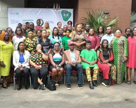 Federal Ministry Of Health Partners NSRII To Organize Annual Operation Plan For Health Workers