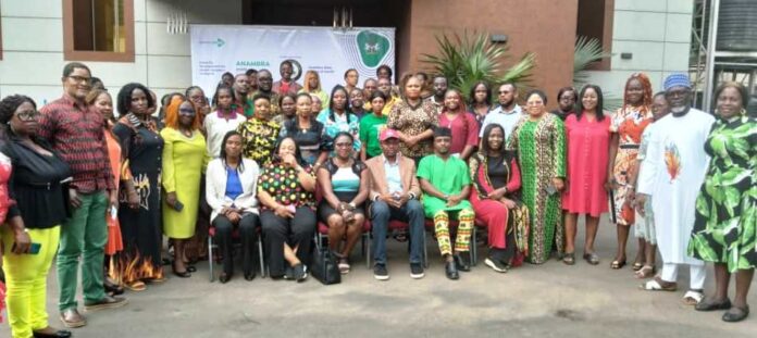 Federal Ministry Of Health Partners NSRII To Organize Annual Operation Plan For Health Workers