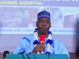 Minister Of Health And Social Welfare, Professor Mohammed Ali Pate, Lauded Governor Zulum For Fostering Collaboration