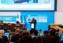 AT UN Summit Stocktake, Nigeria, Others Demand Collective Action Against Food Insecurity
