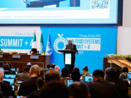 AT UN Summit Stocktake, Nigeria, Others Demand Collective Action Against Food Insecurity