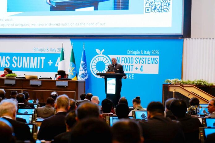 AT UN Summit Stocktake, Nigeria, Others Demand Collective Action Against Food Insecurity