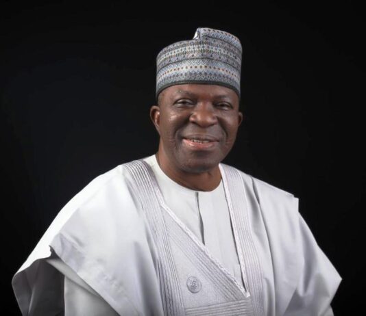 The Director-General Of The National Boundary Commission, Surv. Adamu Adaji