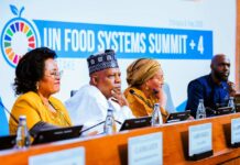 At UN Food Summit, Nigeria Maps 10-year Youth-led Agricultural Renewal Plan