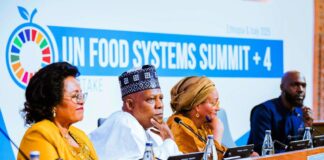 At UN Food Summit, Nigeria Maps 10-year Youth-led Agricultural Renewal Plan
