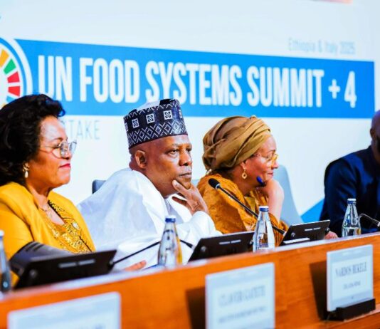 At UN Food Summit, Nigeria Maps 10-year Youth-led Agricultural Renewal Plan