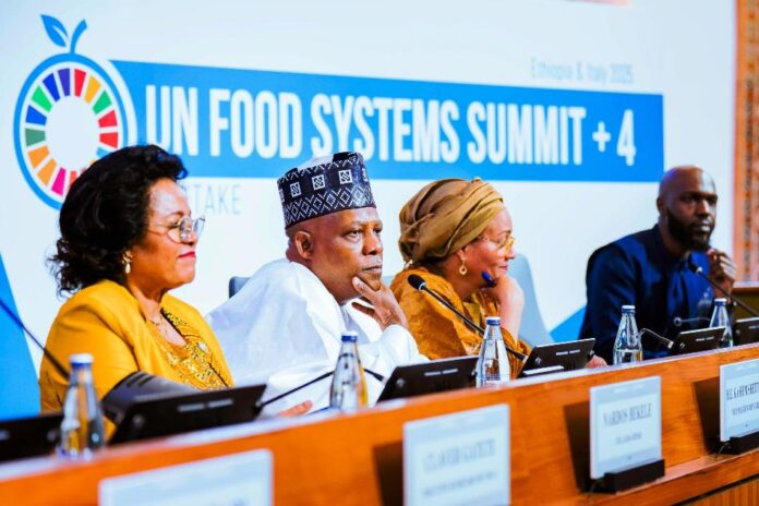 At UN Food Summit, Nigeria Maps 10-year Youth-led Agricultural Renewal Plan