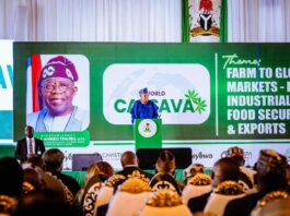 VP Shettima: Cassava Now Key Driver Of Nigeria's Industrial Development, Import Substitution