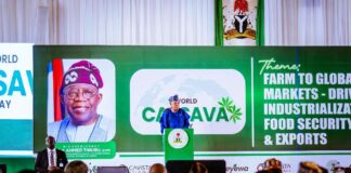 VP Shettima: Cassava Now Key Driver Of Nigeria's Industrial Development, Import Substitution