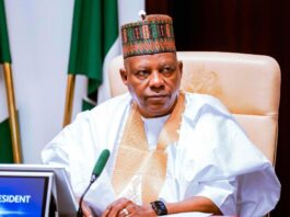 Vice President of Federal Republic of Nigeria, Senator Kashim Shettima