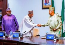 President Tinubu Orders Immediate Ban Of Raw Shea Nut Export