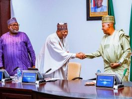 President Tinubu Orders Immediate Ban Of Raw Shea Nut Export