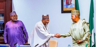 President Tinubu Orders Immediate Ban Of Raw Shea Nut Export