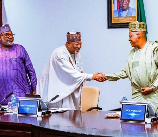 President Tinubu Orders Immediate Ban Of Raw Shea Nut Export