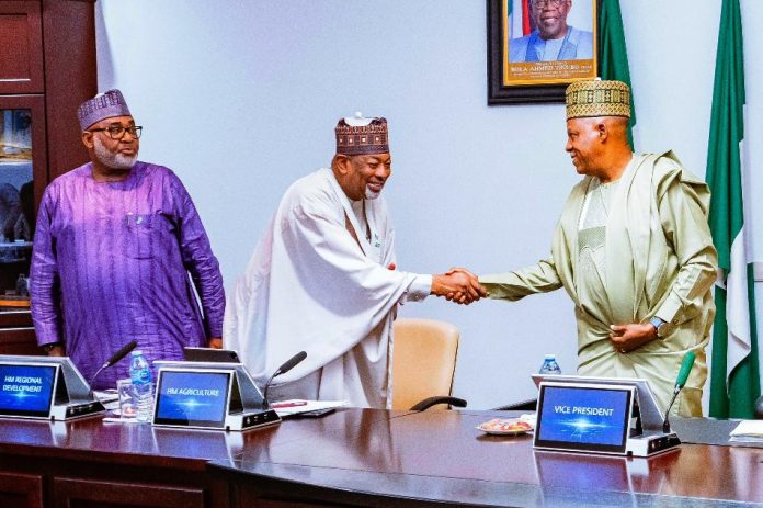 President Tinubu Orders Immediate Ban Of Raw Shea Nut Export