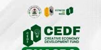 Apply Now CEDF Launches Phase 2 Loans for Nigerian Creatives And Entrepreneurs