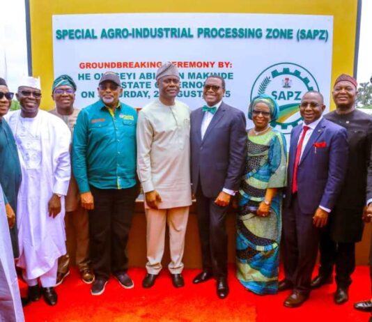 L- R, the Minister of Agriculture and Food Security, Sen Abubakar Kyari,( Governor right- hand side) , Governor of Oyo State, Engr. Seyi Makinde(C) and Dr Akinwumi Adesina ( Governor left-hand side), during the Groundbreaking Ceremony of SPAZ Programme in Ibadan, Oyo State.