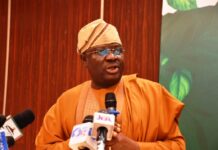 The Permanent Secretary of the Ministry of Agriculture and Food Security, Dr Marcus Olaniyi Ogunbiyi, during the workshop