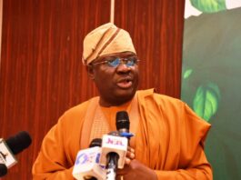 The Permanent Secretary of the Ministry of Agriculture and Food Security, Dr Marcus Olaniyi Ogunbiyi, during the workshop
