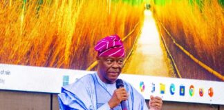 Honourable Minister of Finance and Coordinating Minister of the Economy, Mr Wale Edun