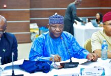 FG Reads Riot Act to New CEOs, Board Chairmen Over Power Tussles