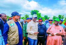 FG To Partner Nasarawa State To Boost Agriculture
