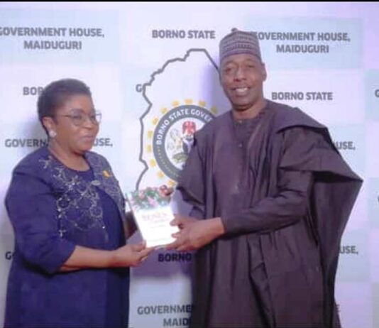 Zulum Pledges to Key into FGs Digital Innovative for Enhanced Civil Service Operations