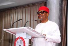 Honourable Minster of Innovation, Science and Technology Chief Uche Geoffrey Nnaji