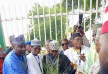 L-R: Permanent Secretary, Ministry of Environment Mahmud Adam Kambari; director general of National Agency for the Great Green Wall (NAGGW), Saleh Abubakar; deputy governor of Jigawa State, Aminu Usman Gumel and Jigawa State commissioner of Environment, Dr. Nura Ibrahim Doka, during the formal flag-off for the planting of 50 million date plantation as part of activities marking 10-year anniversary of the NAGGW, in Dutse, Jigawa state.