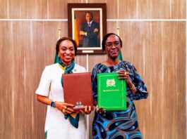 Nigeria and Benin Endorse Framework for Enhanced Economic Cooperation