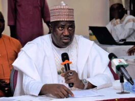 The Minister of State for Agriculture and Food Security, Sen . Dr. Aliyu Sabi Abdullahi, during the workshop in Abuja.