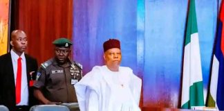 Deputy Governor Represents Kaduna at NEC Meeting, as Council Endorses Renewed Hope Development Plan