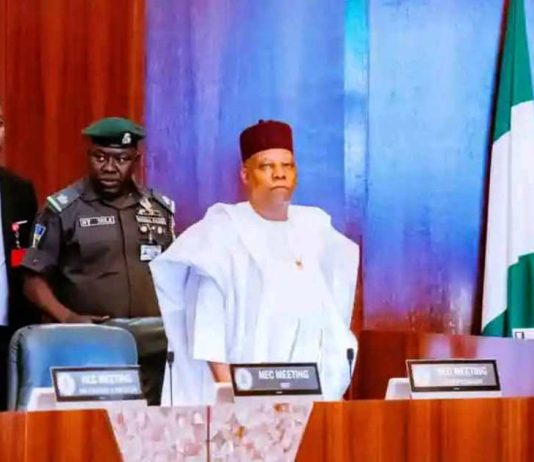 Deputy Governor Represents Kaduna at NEC Meeting, as Council Endorses Renewed Hope Development Plan