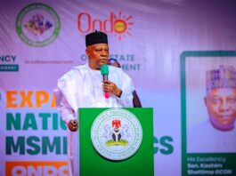 Nigeria's Vice President, Senator Kashim Shettima