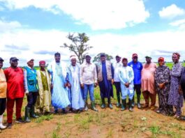 The Nasarawa State Governor Abdullahi Sule and Minister of Agriculture and Food Security, Sen Abubakar Kyari, during the visit to Jangwa Rice Farm