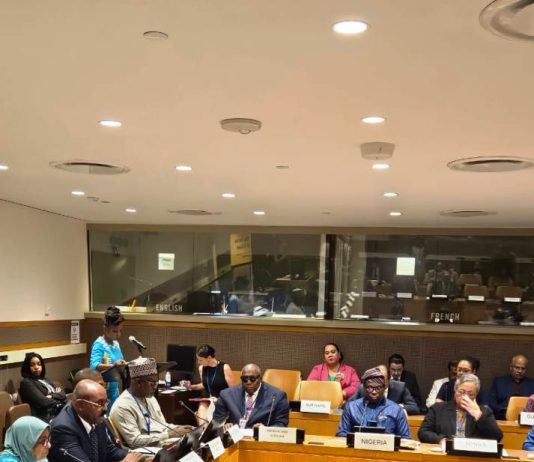 80th UNGA Nigeria Call for Global Investment in Eye Health To Prevent Blindness Across Continents