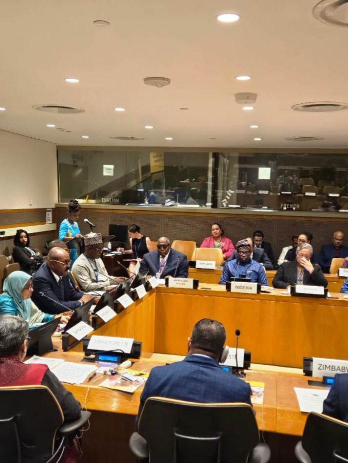 80th UNGA Nigeria Call for Global Investment in Eye Health To Prevent Blindness Across Continents