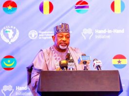 Minister of Agriculture and Food Security,Sen Abubakar Kyari during the Hand-in-Hand Initiative forum in Abuja.